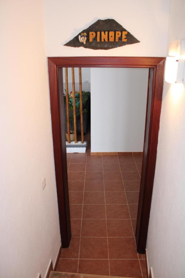 Loft Pinope