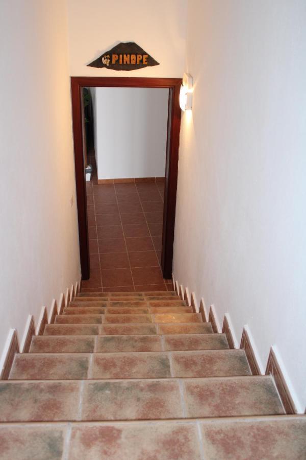 Loft Pinope *