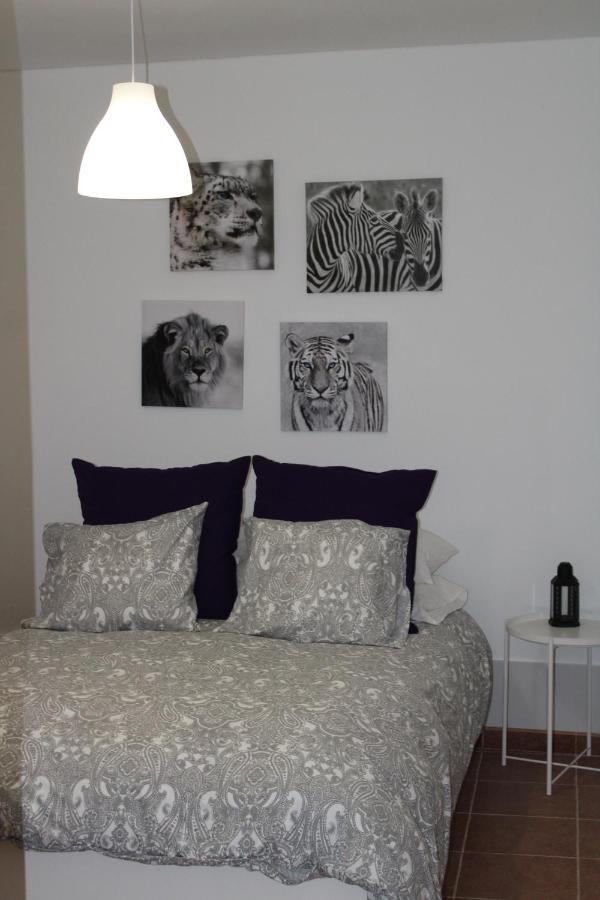 Loft Pinope Apartamento *