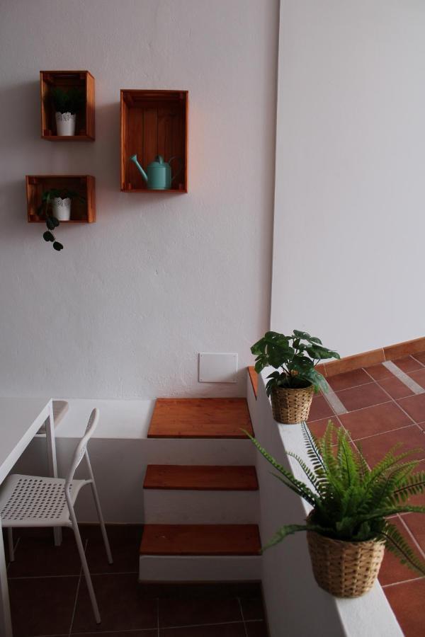 Loft Pinope La Santa