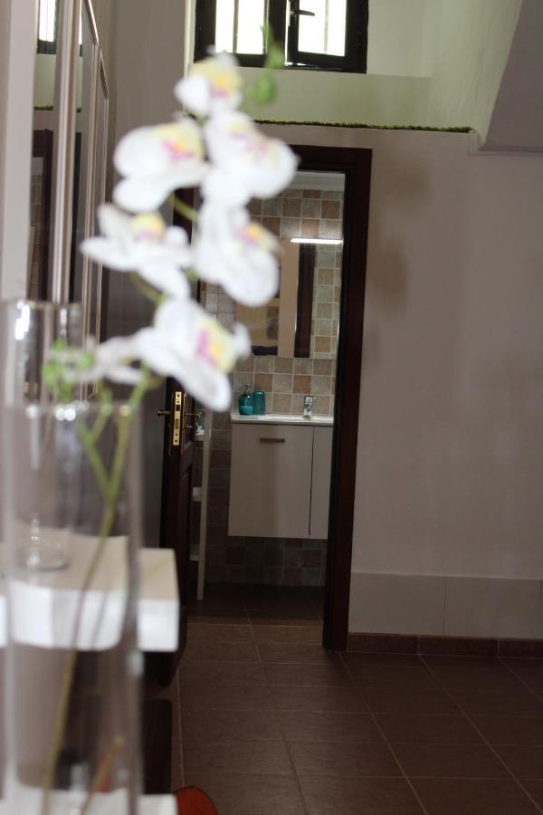 Loft Pinope Apartamento