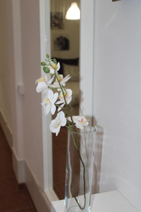 Loft Pinope Apartamento La Santa