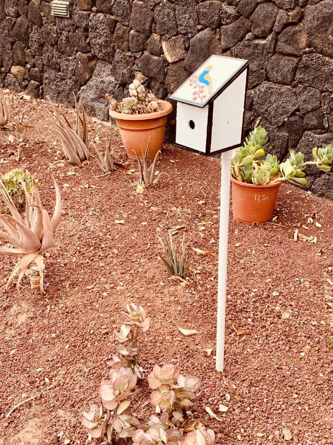 Artsy Casa Timanfaya, Playa Blanca