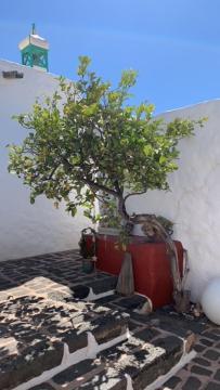 Casa Alegria Ii