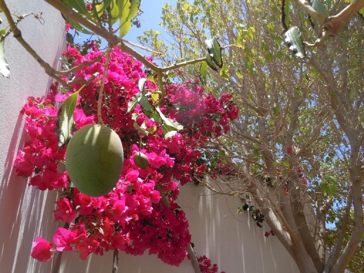 Casa Mango - Coloradas - * Playa Blanca (Lanzarote)