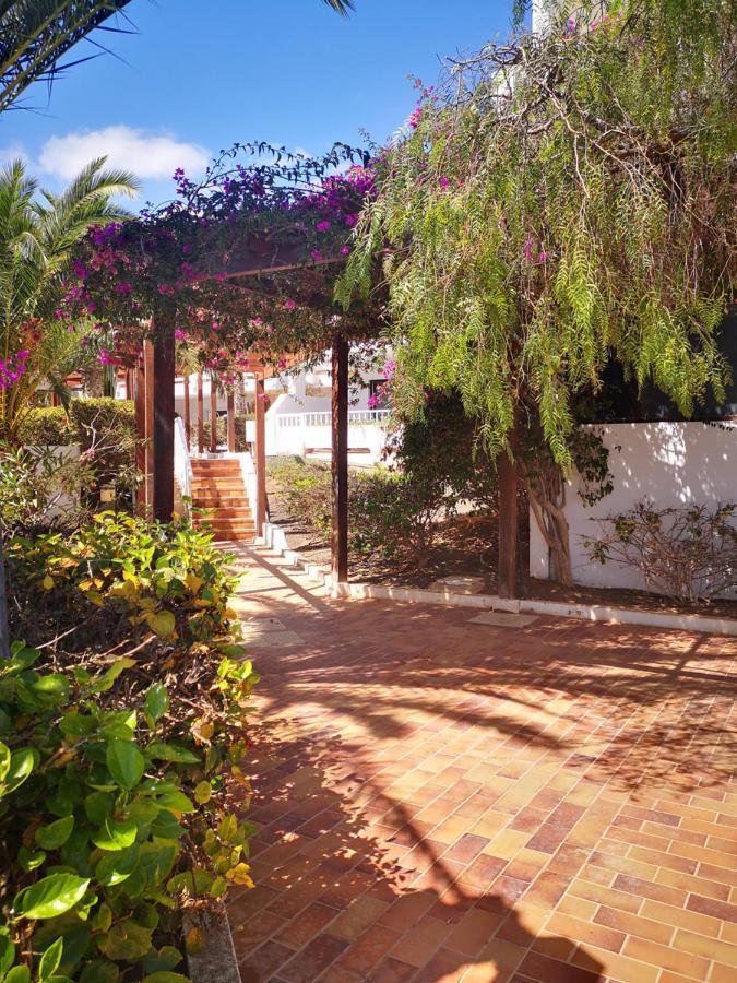 Comfortable Cleo With Large Terrace * Costa Teguise