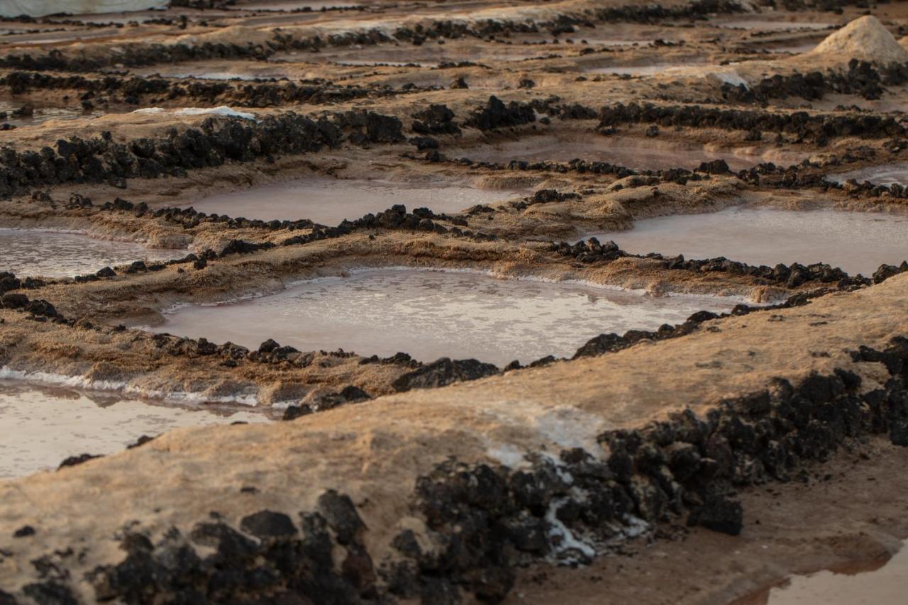 Сasa de vacaciones Casa Cocoteros. Un Rincón único De Desconexión Teguise (Lanzarote)