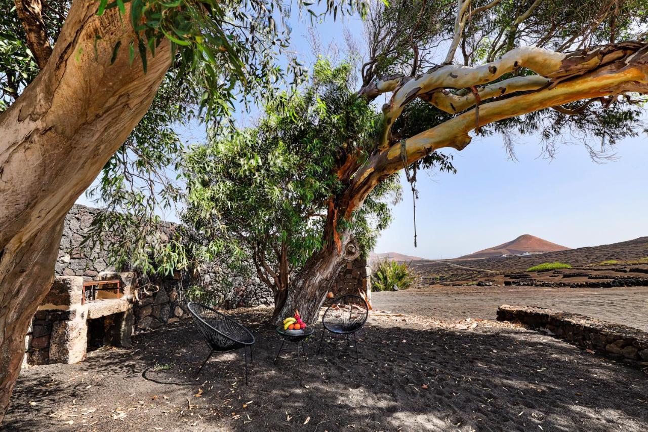 Holiday home Petit La Geria Lanzarote