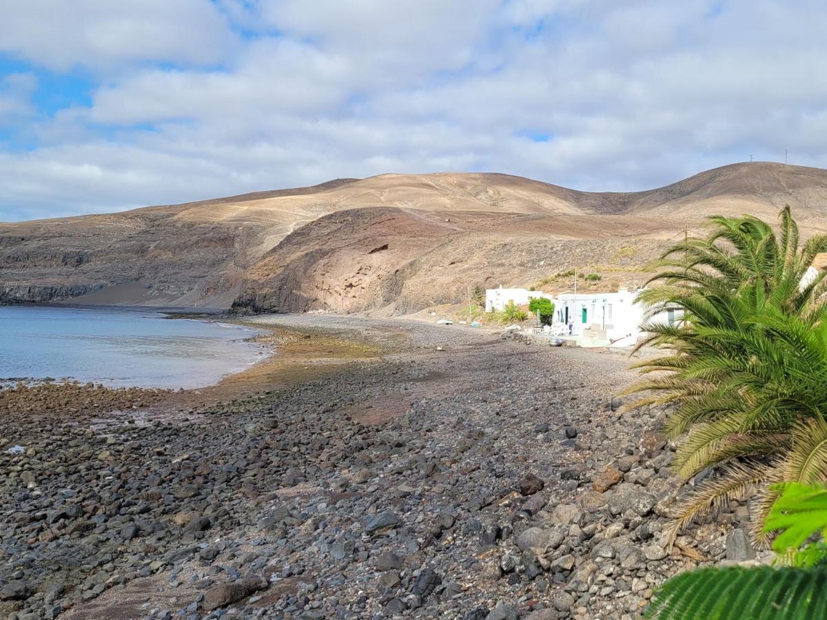 Casa Cetáceo