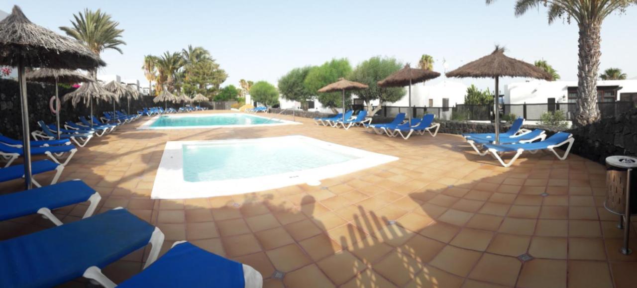 Nº 7 Tajinaste Puerto del Carmen (Lanzarote)