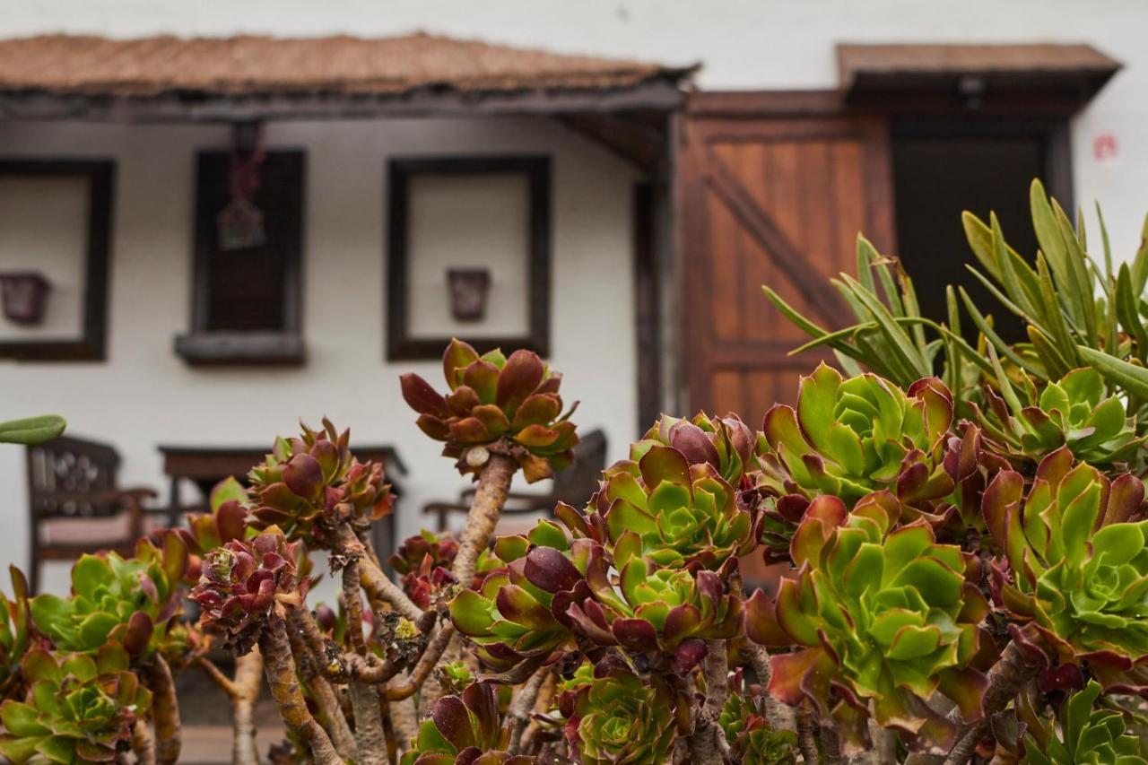 Casitas Masdache Apartment