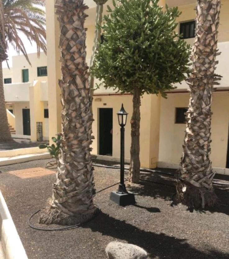 Suri Apartment