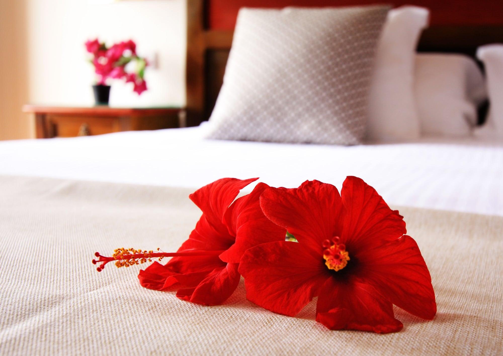 Hotel Rural De La Florida San Bartolomé