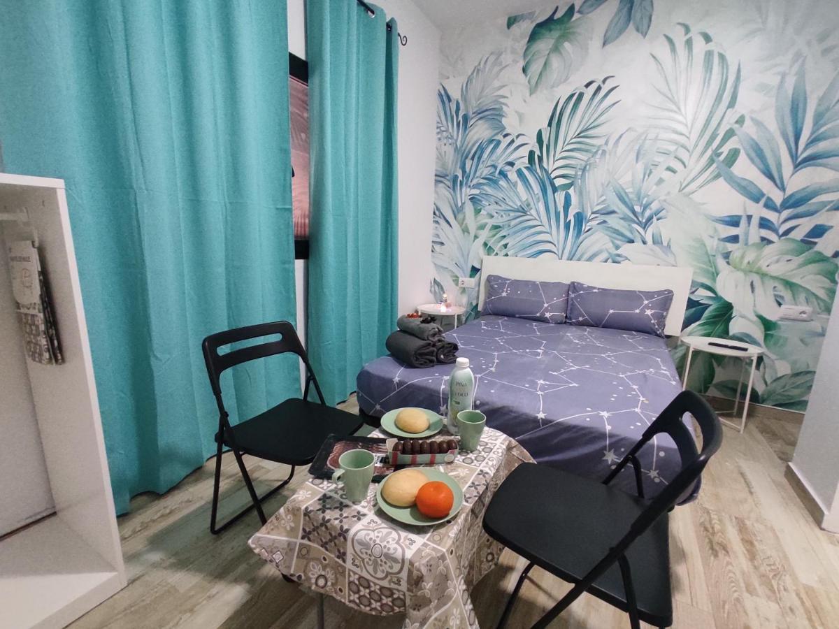 Apartment Cactus, Entrada Privada Y Bano Privado En By Flamingo House, No Fumadores
