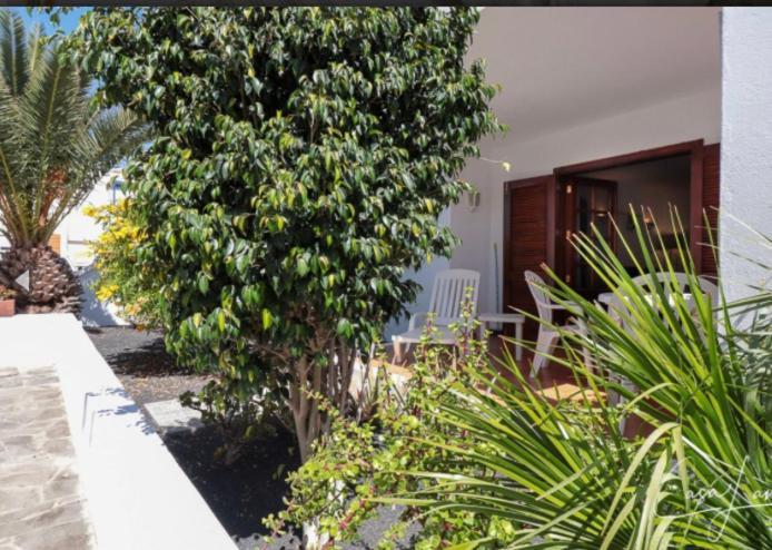 Hogar Palmera With Pool & Apartamento *