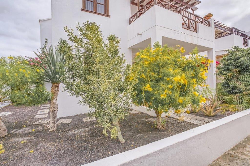 Hogar Palmera With Pool & Apartamento
