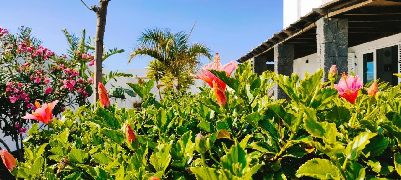 Villa Fedelian Avec Jardin Et Piscine Chauffée *