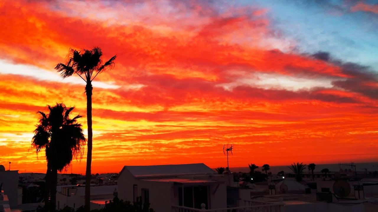 Vincent, Cozy And Sunny Over The Rooftops * Puerto del Carmen (Lanzarote)