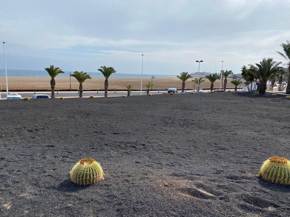 Mimosas C Puerto del Carmen (Lanzarote)