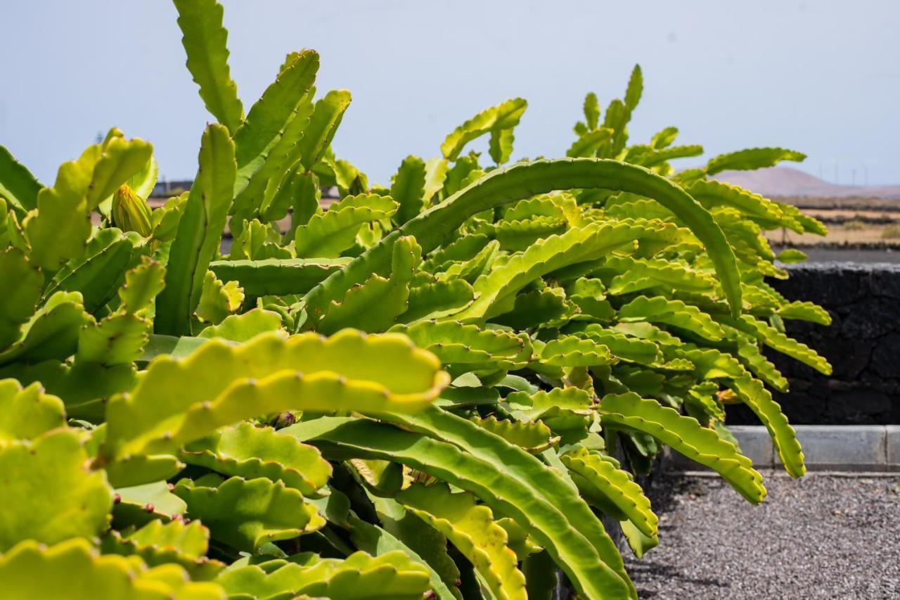 Eslanzarote Eco Dome Experience * Teguise (Lanzarote)