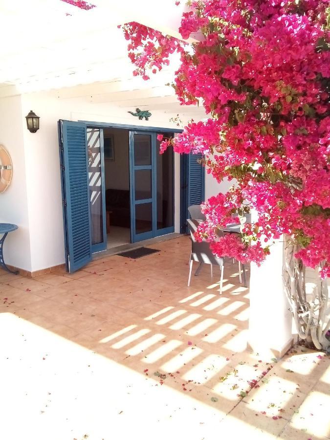 Sofia Playa Blanca (Lanzarote)