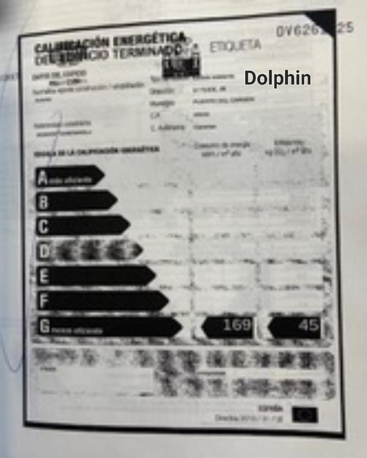 Dolphin