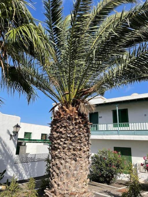 Apartment Amura En Playa De Cucharas