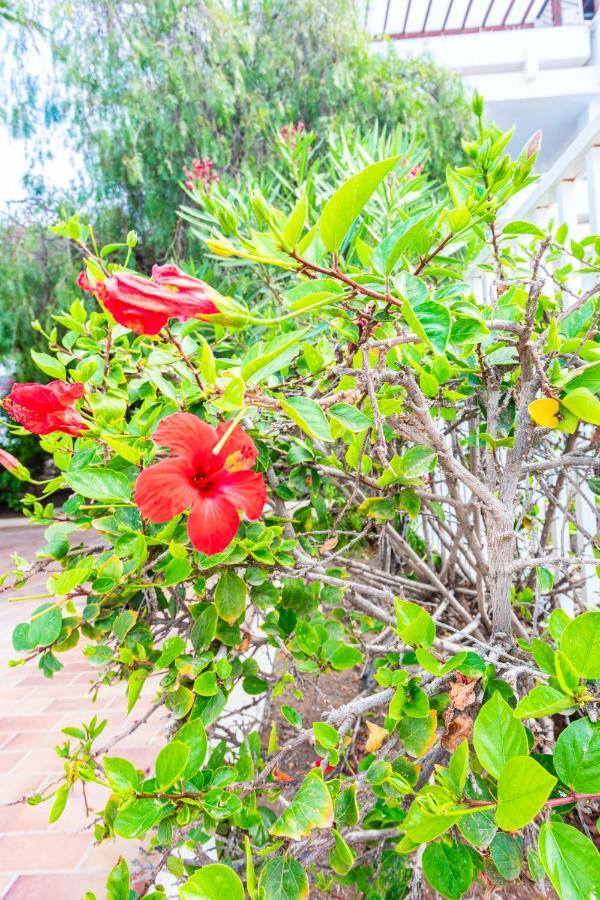 Apartment Sunny - Duplex 2beds 2 Baths Costa Teguise