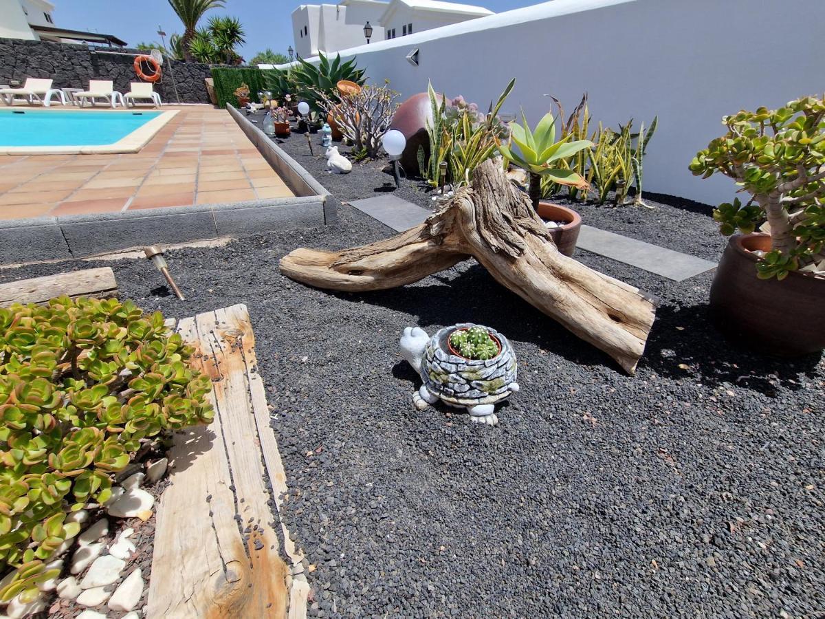 Lola * Playa Blanca (Lanzarote)