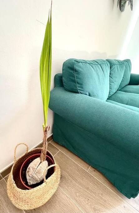 Piso Renovado A 200 Metros De La Playa