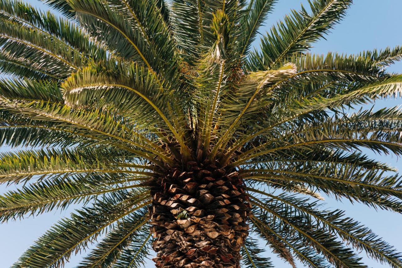 La Palmera - Fabulosa Casa, Lanzarote, Playa Honda Playa Honda (Lanzarote)