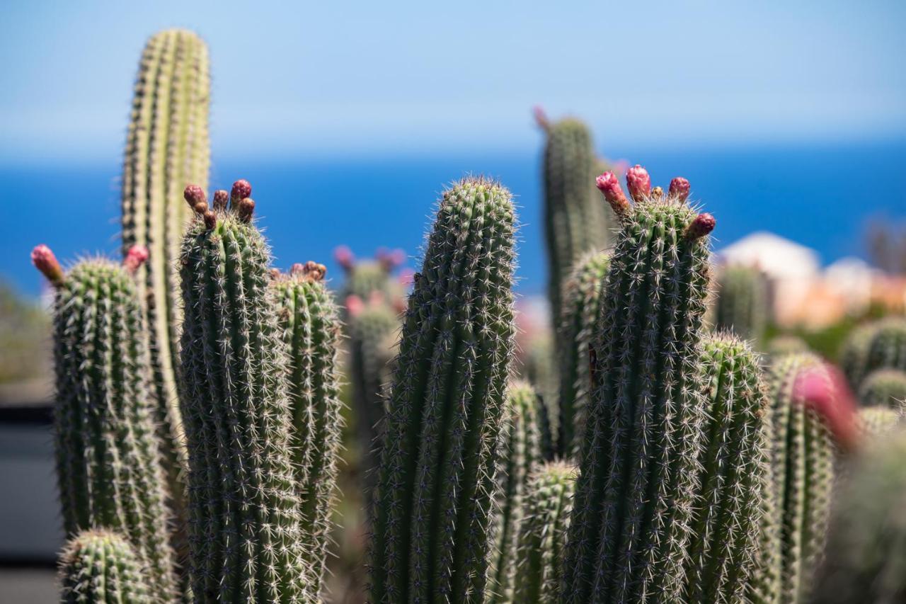 5 Lanzarote Bed & Breakfast Macher