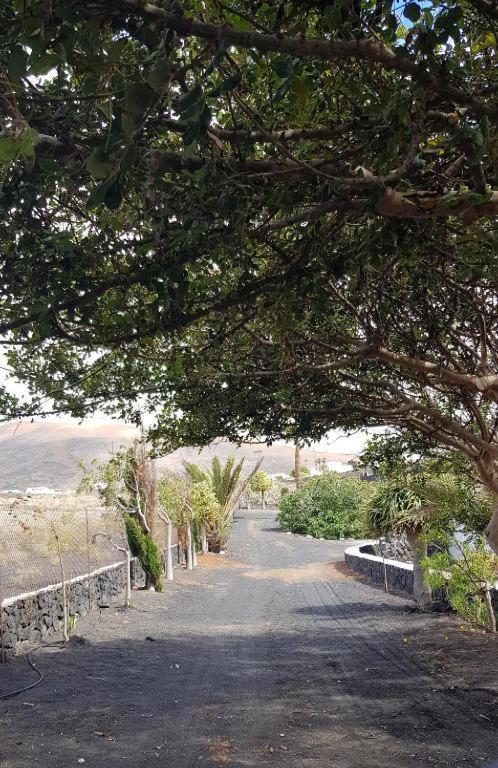 Oasis Vasiliko Lanzarote - Buena Vista
