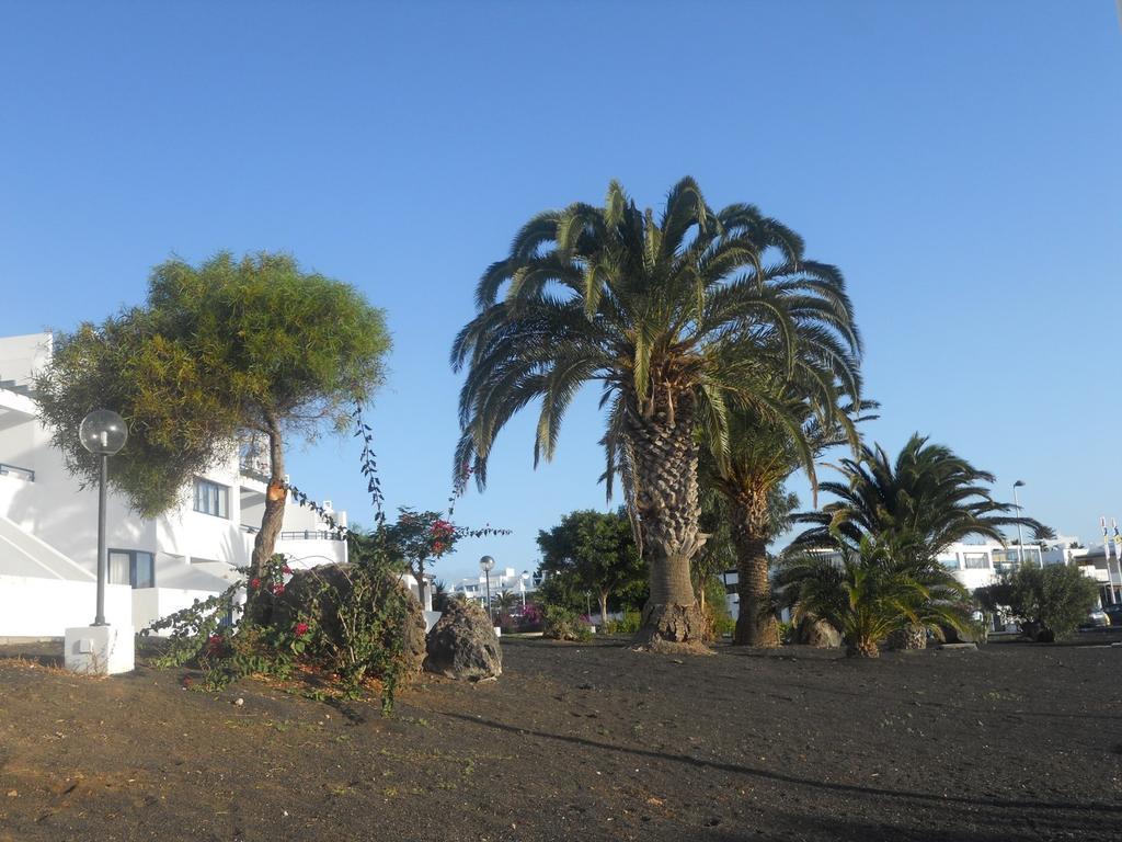 Club Pocillos * Puerto del Carmen (Lanzarote)