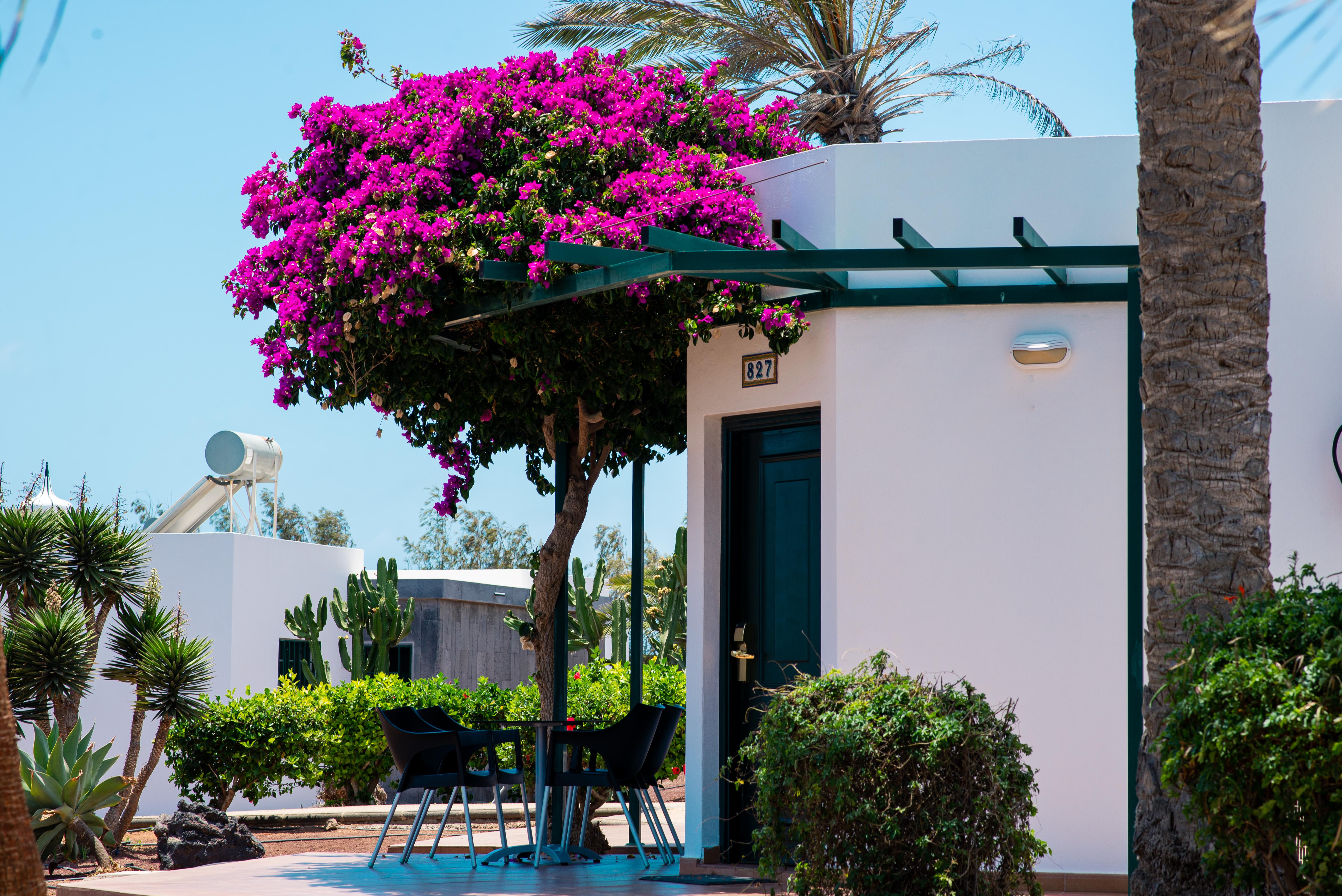 Hl Club Playa Blanca 4*