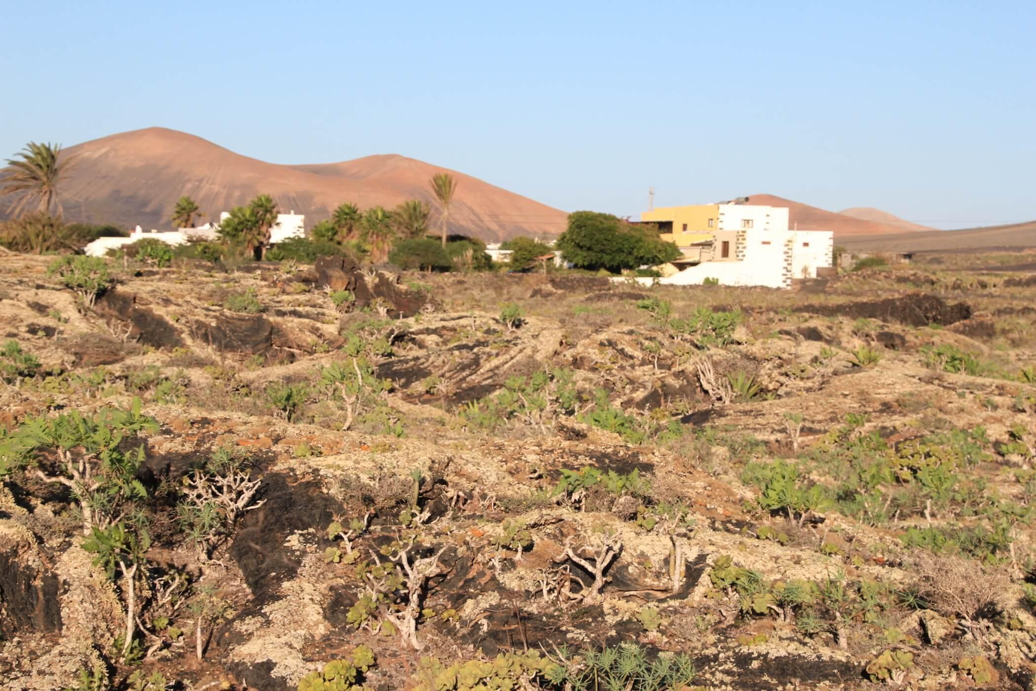 Resort Casa Tomarén San Bartolomé