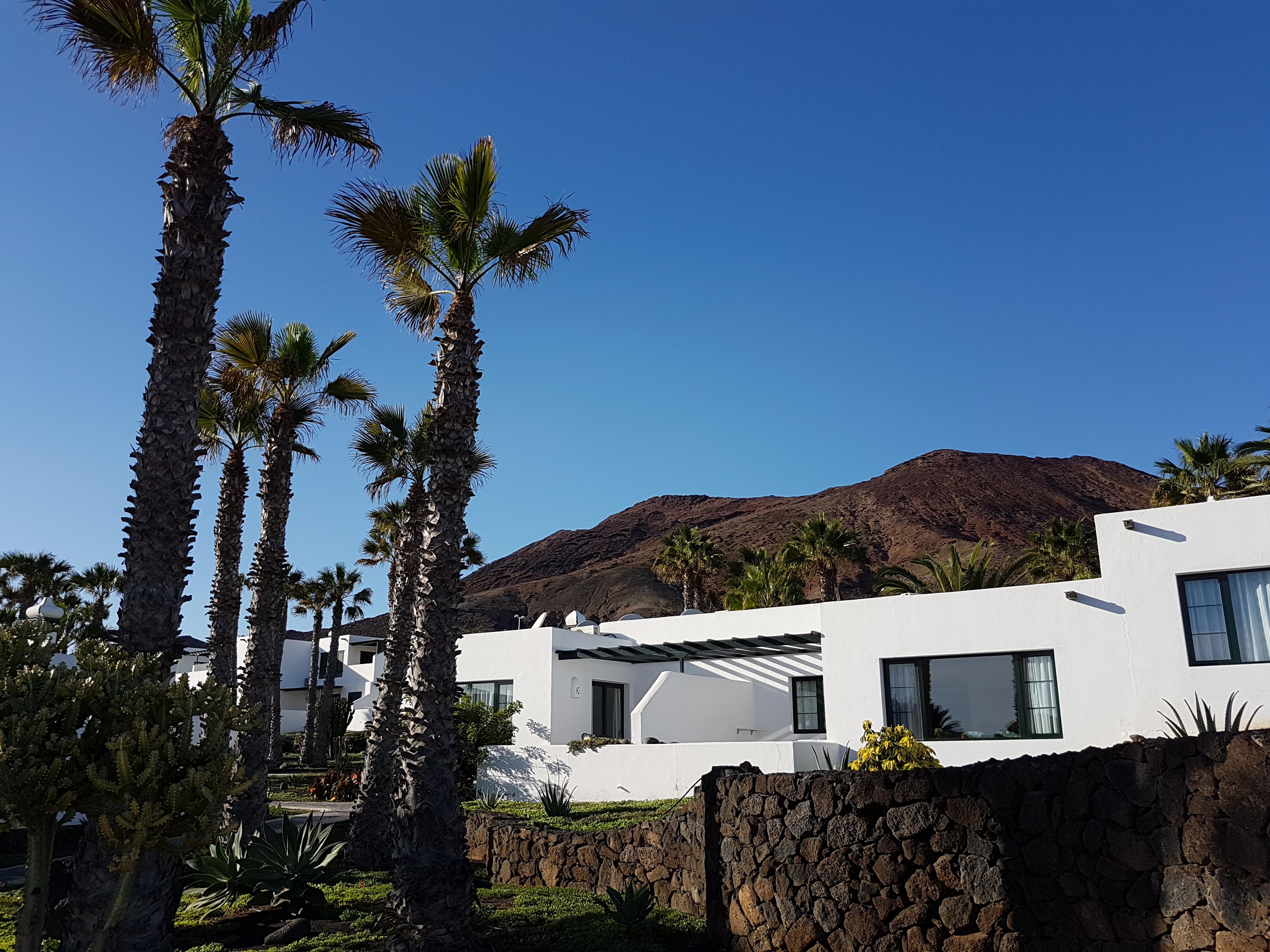 Palmeras Garden Apartment