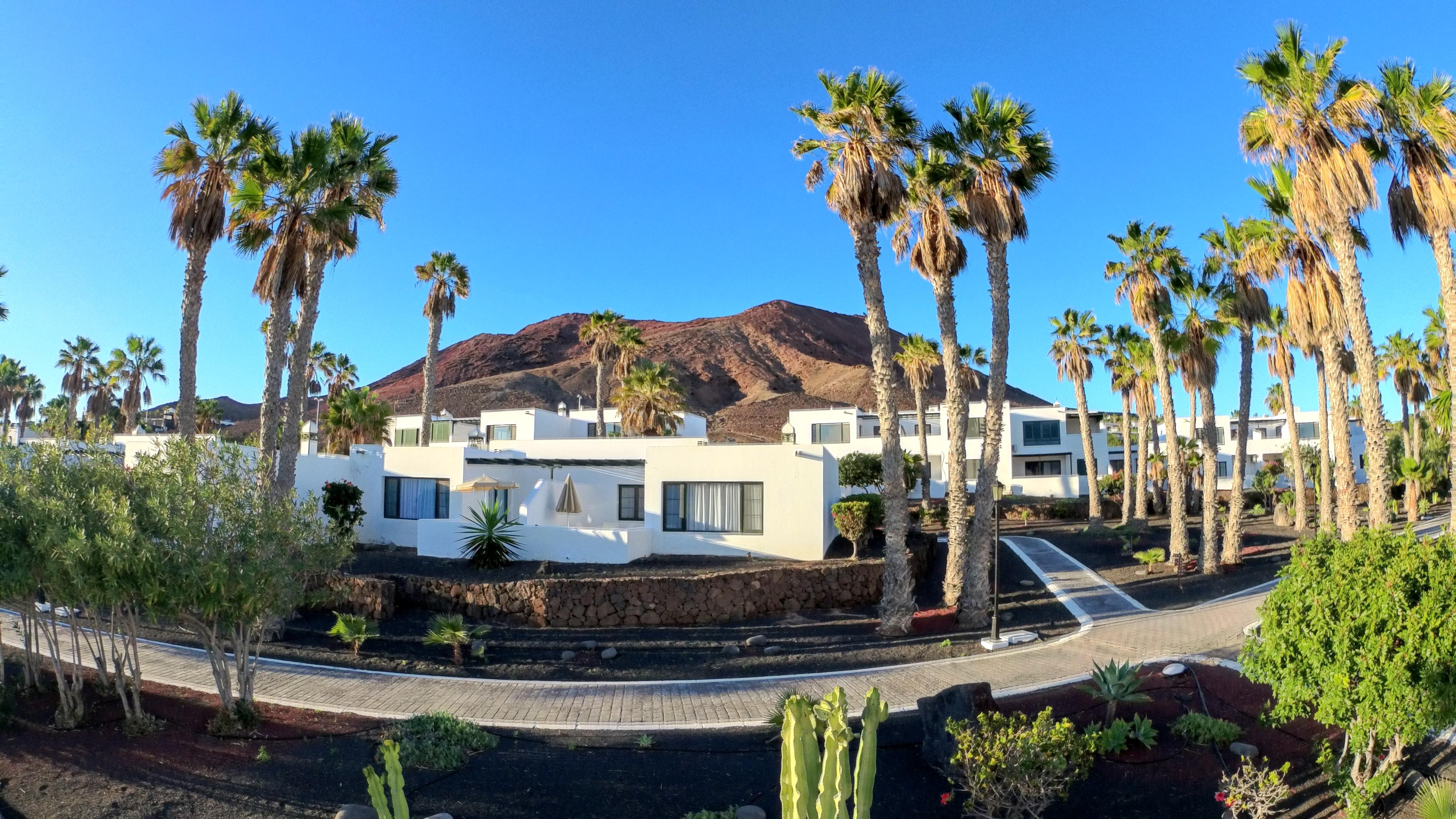 Palmeras Garden Apartment