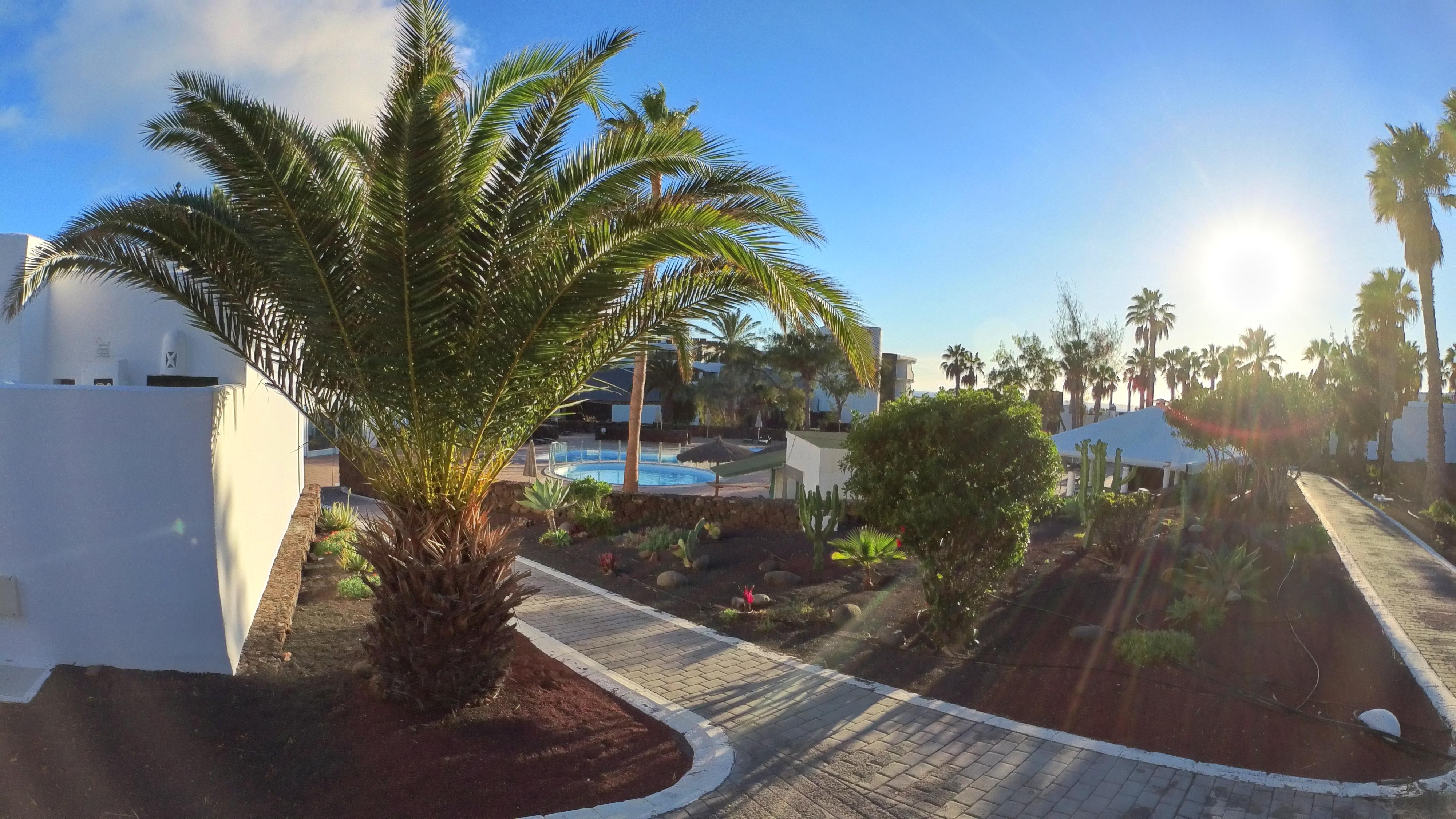Apartment Palmeras Garden