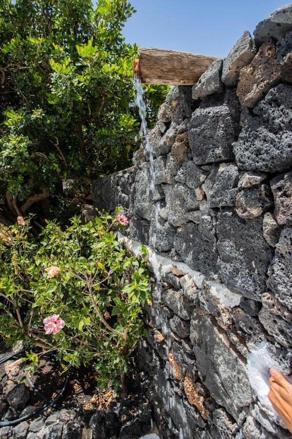 Сasa de vacaciones Eslanzarote Testeyna House, Heated Pool, Super Wifi, Sat Tv, View To The Volcanoes *