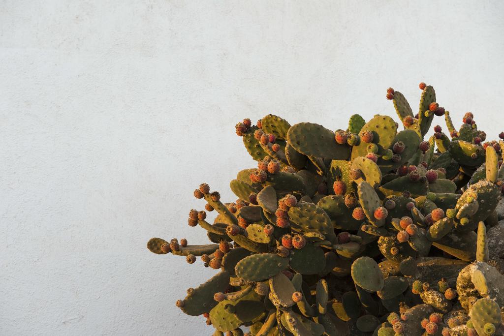 Bed and breakfast Buenavista Lanzarote Country *