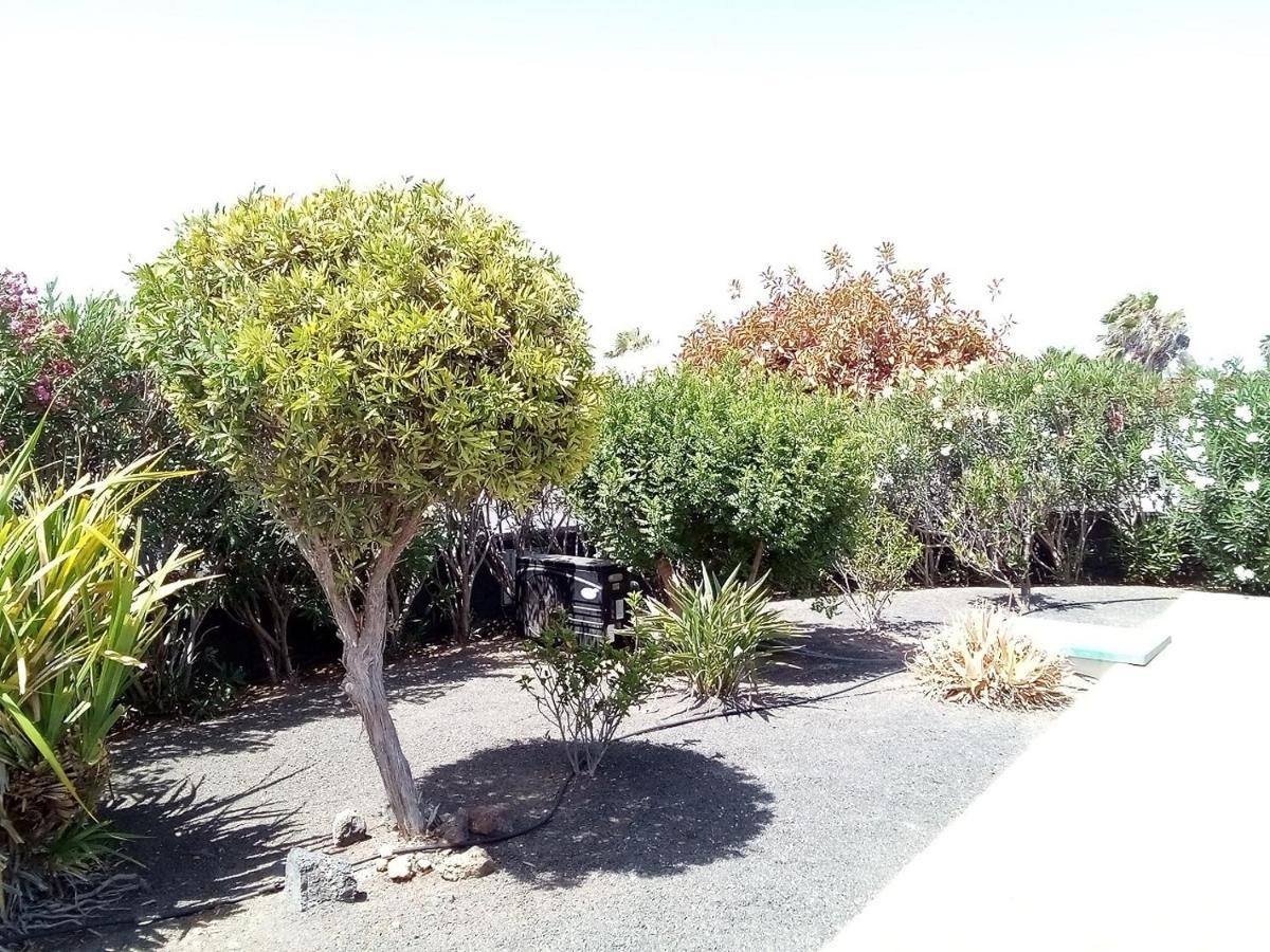 Villa Jaxx Playa Blanca (Lanzarote)
