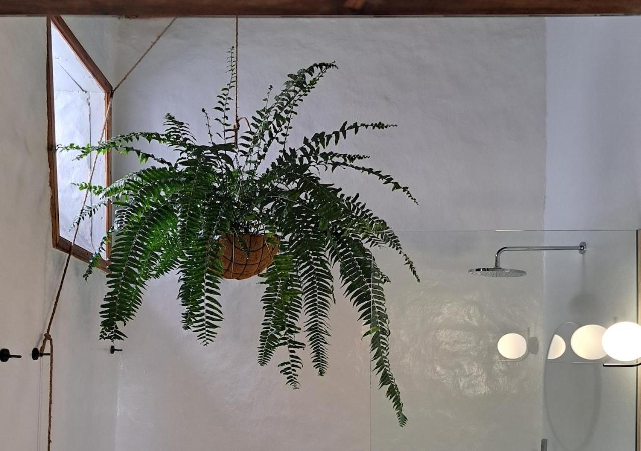 Hotel Casa De Flores - Boutique Lanzarote