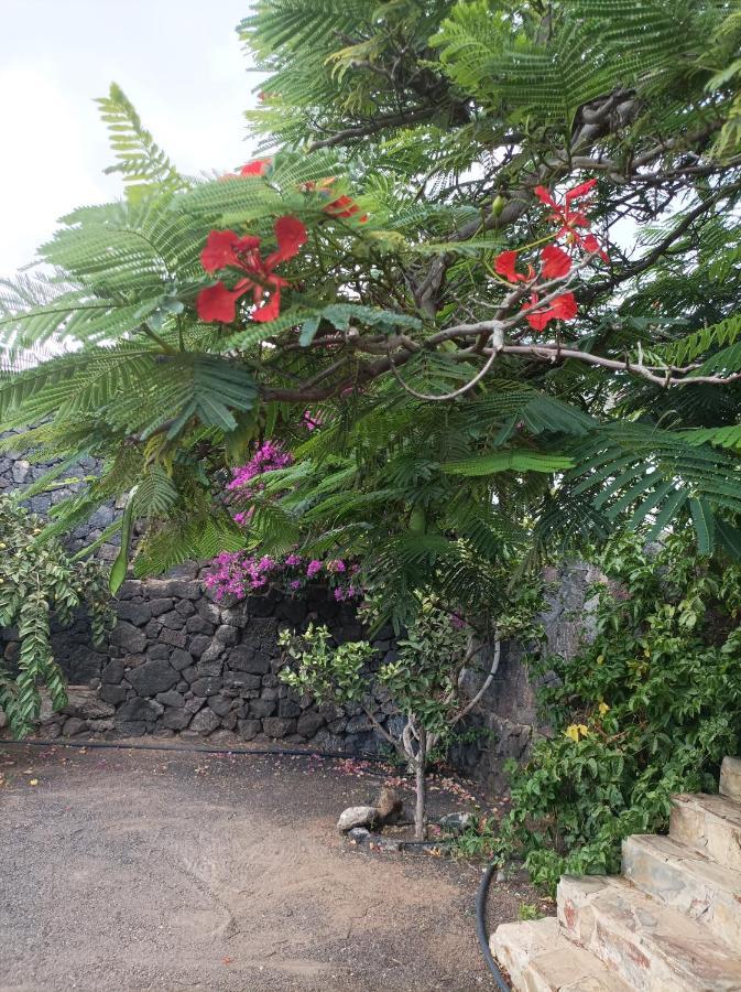 Casa Palmeral Mácher