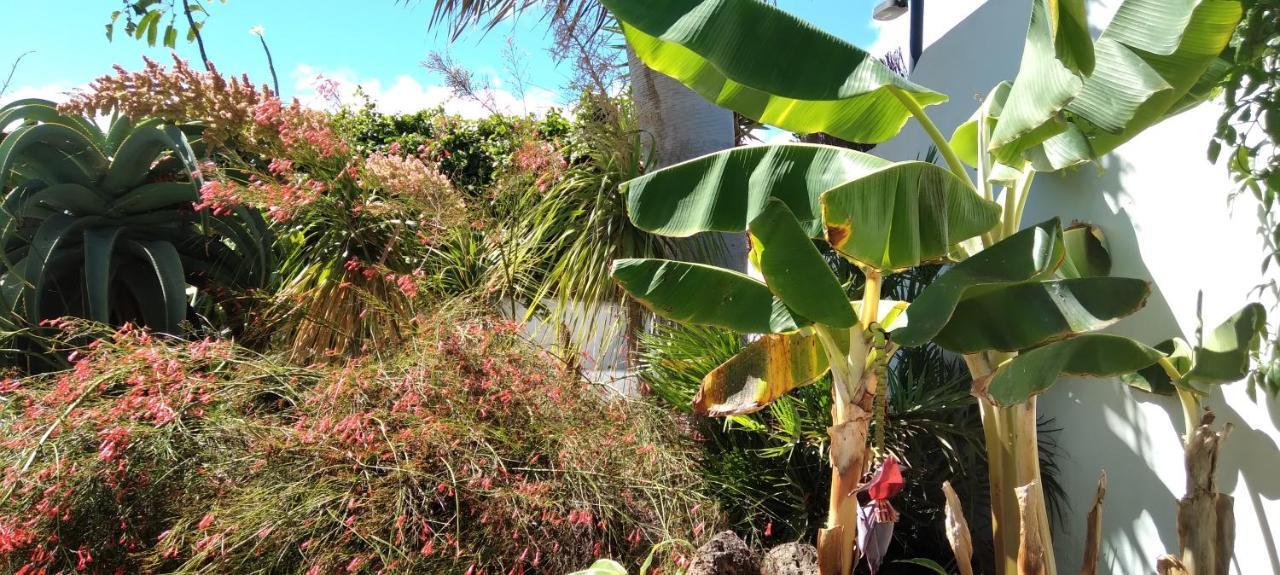 Apartamento Botanico Garden Guatiza