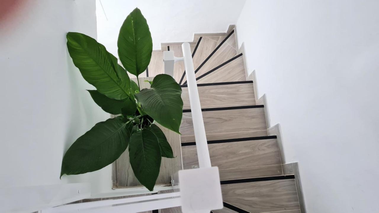 Apartamento Jameo Apartamento *