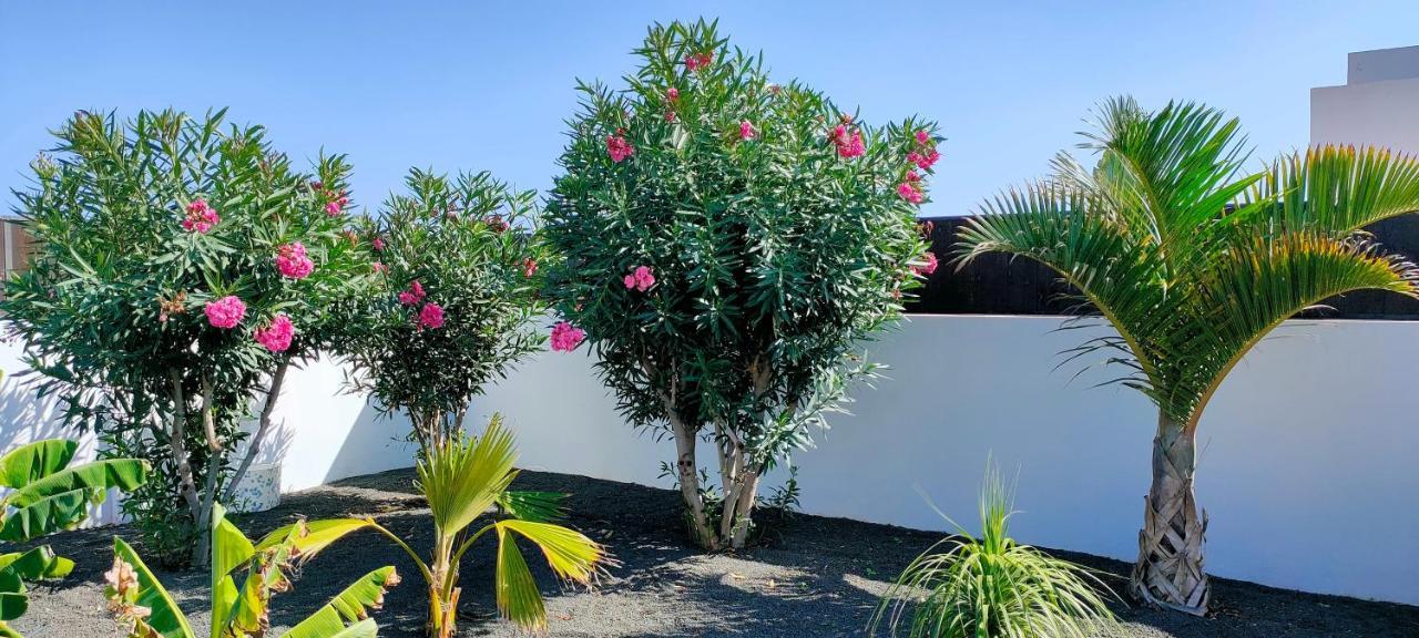 Villa Fedelian 2 Playa Blanca Playa Blanca (Lanzarote)