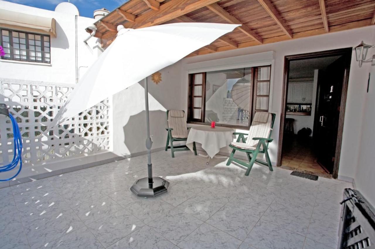Arbustos * Puerto del Carmen (Lanzarote)