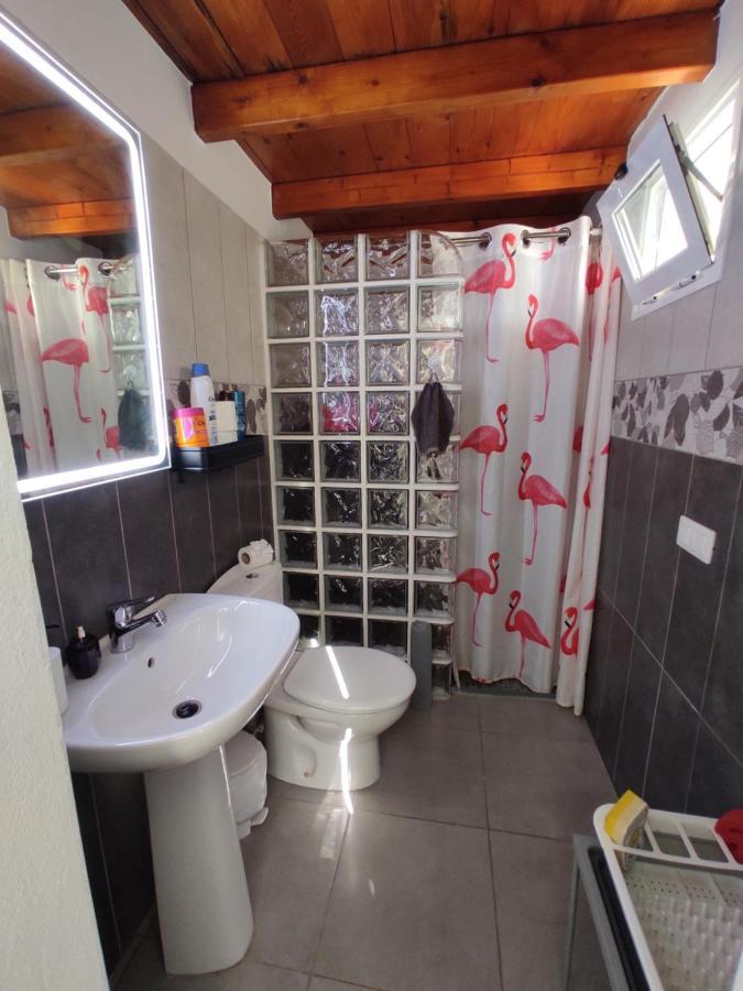 Flamingo With Terrace And Private Bath By Flamingo House Apartment *
