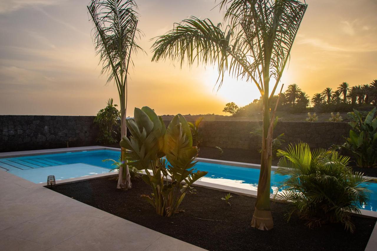 Macan * Teguise (Lanzarote)